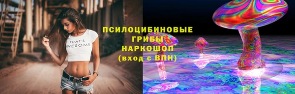 спиды Алексеевка