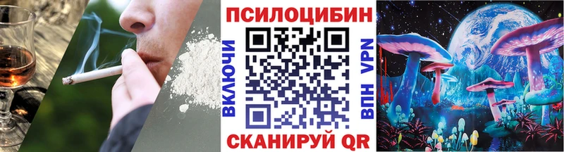 KRAKEN tor  Томари  Псилоцибиновые грибы мицелий 